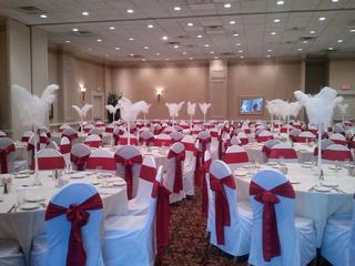 Alexina Weddings