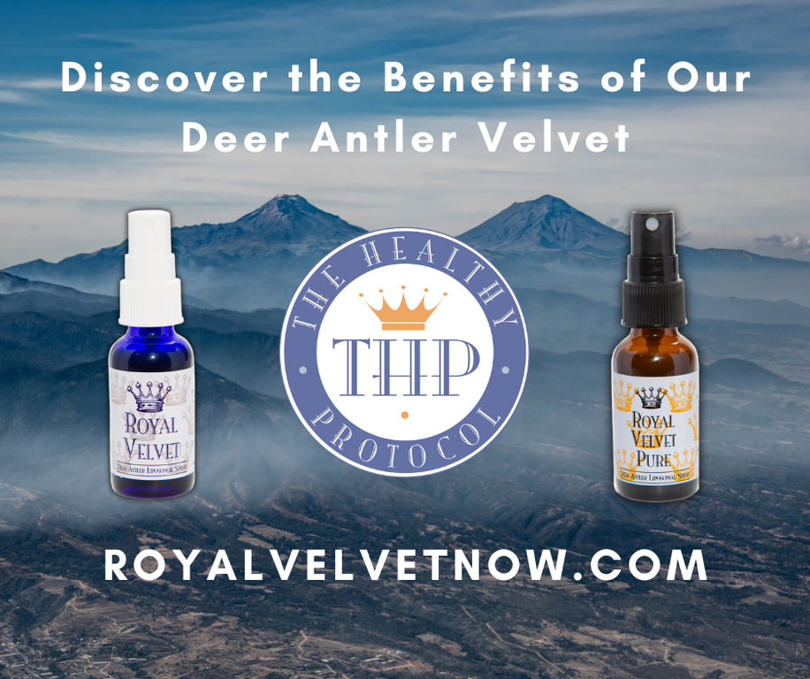  by The Healthy Protocol
