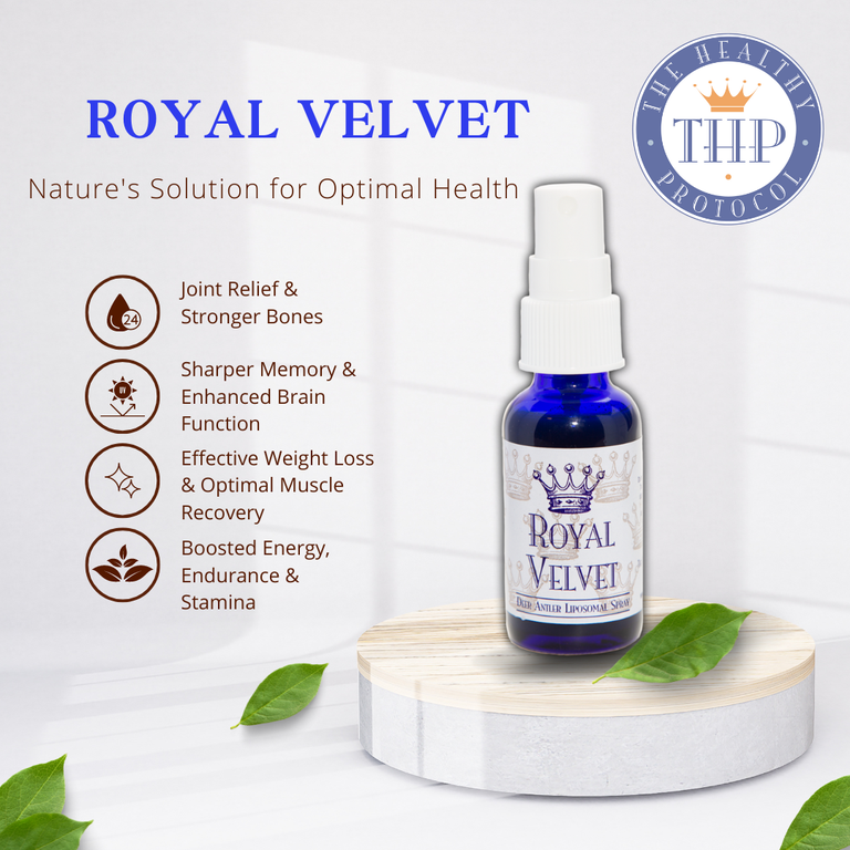  by The Healthy Protocol
