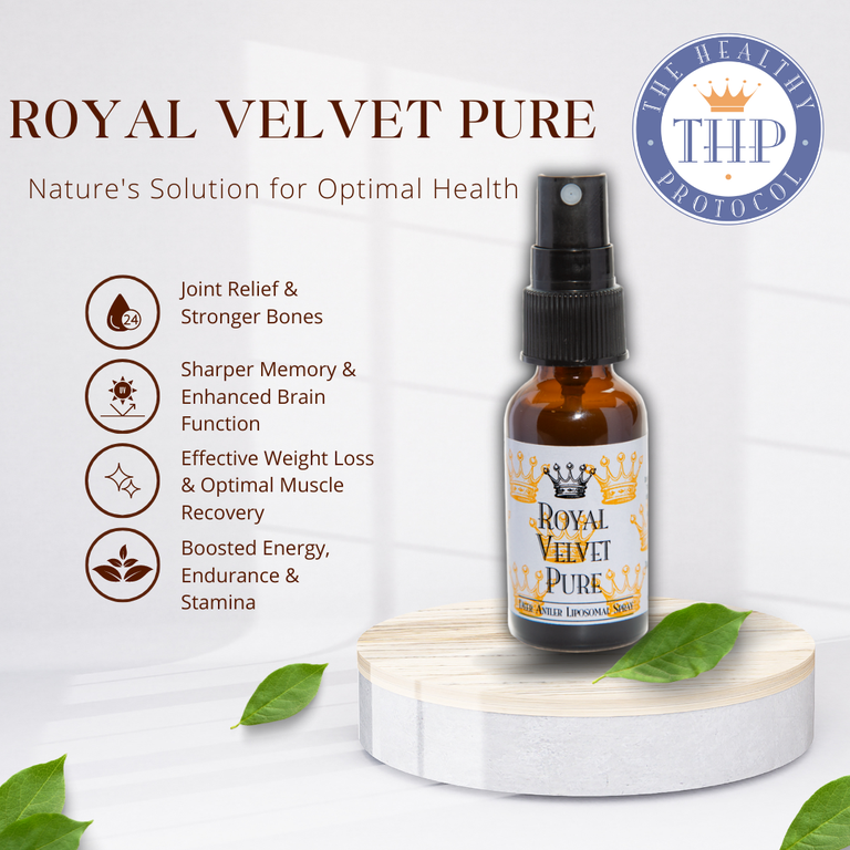 by The Healthy Protocol