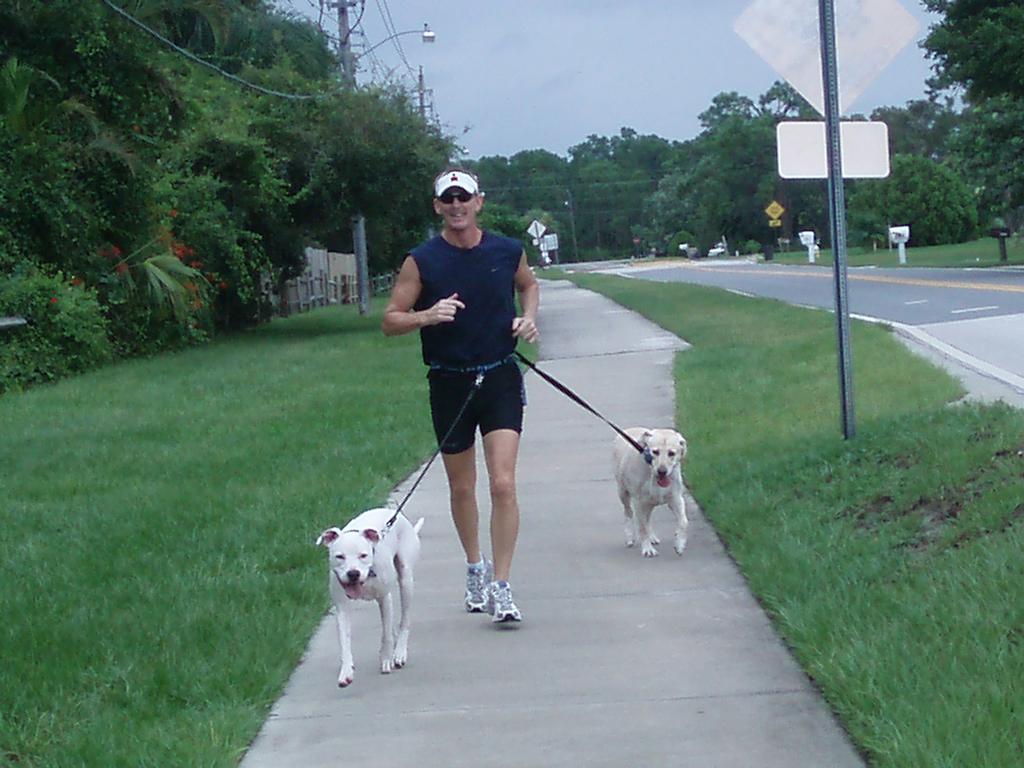 P2250021 by Fido Fitness Florida