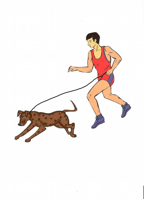 dogrunner by Fido Fitness Florida