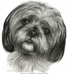 Gizmo's Grooming Salon