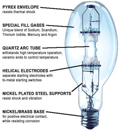 metal_halide_lamp_2 by Superior Lamp