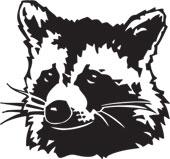 Raccoon Clipart EPS Images. 39 Raccoon clip art vector illustrations available to search from over 15 royalty free illustration publishers. by Critter Capture Wildlife Control