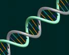 GeneWize Life Sciences Independent Distributor