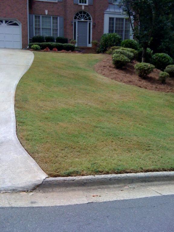karens yard by J C Cunningham - Lawn Care & Landscaping Services
