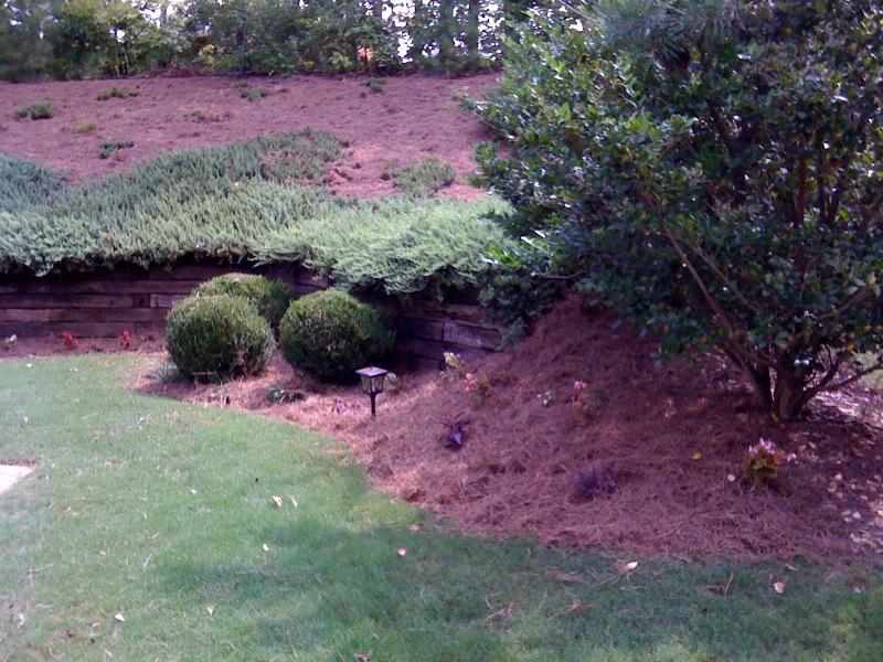 nice back by J C Cunningham - Lawn Care & Landscaping Services