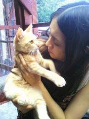 Holistic Pet Care