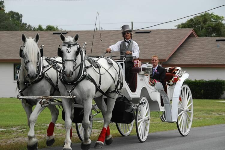 wedding by Downtown Horse & Carriage, II, Inc.