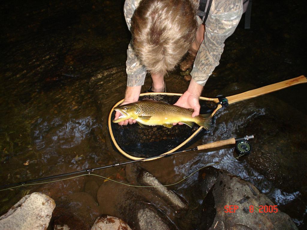 trophy trout cherokee north carolina guided trip, by Smoky Mountains Fly Fishing School