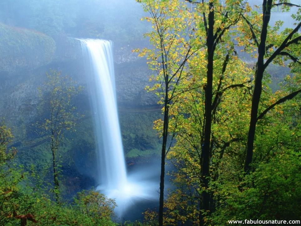 nature by Nature's Touch Massage