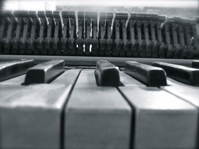 DSCF5226 by Tyler Brown's Piano Tuning and Allied Arts