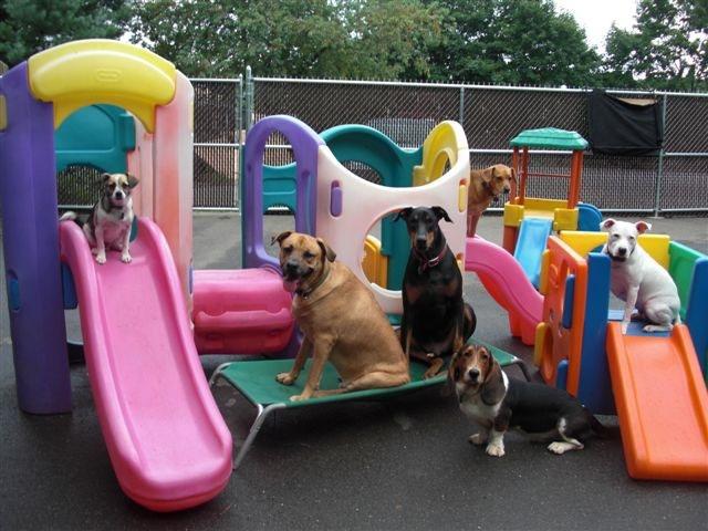 Map and Directions to The Barking Lot in Hamden, CT 06514