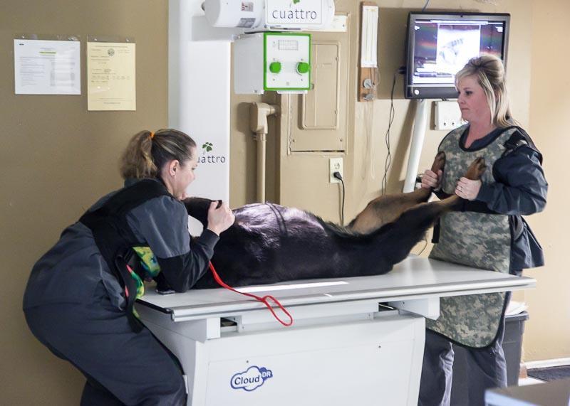 Pictures for Prairie Lane Veterinary Hospital in Omaha, NE 68144