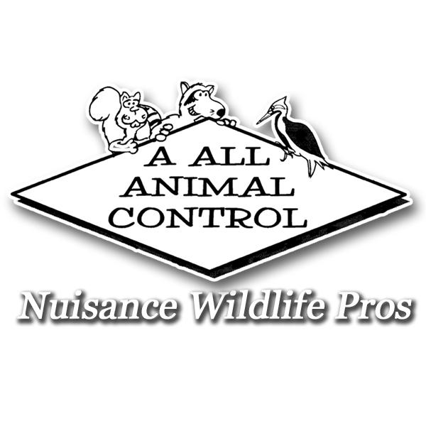 Logo Nuisance Widlife Pros by A All Animal Control