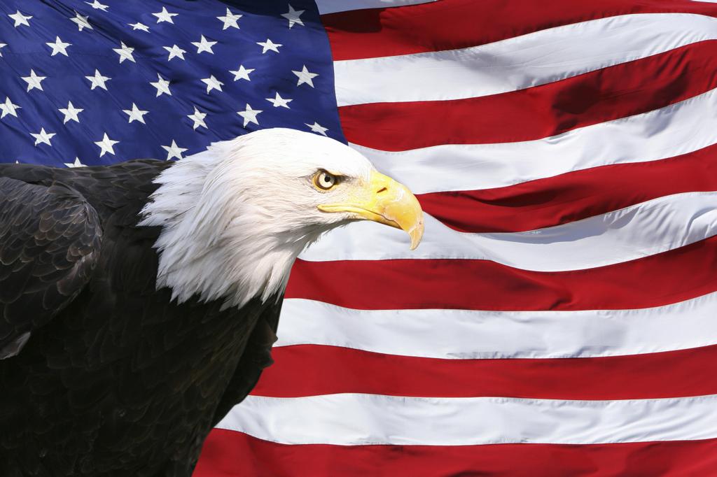 All American Exteriors - Niles MI 49120 | 866-683-8977 All American Exteriors - Niles MI 49120 | 866-683-8977