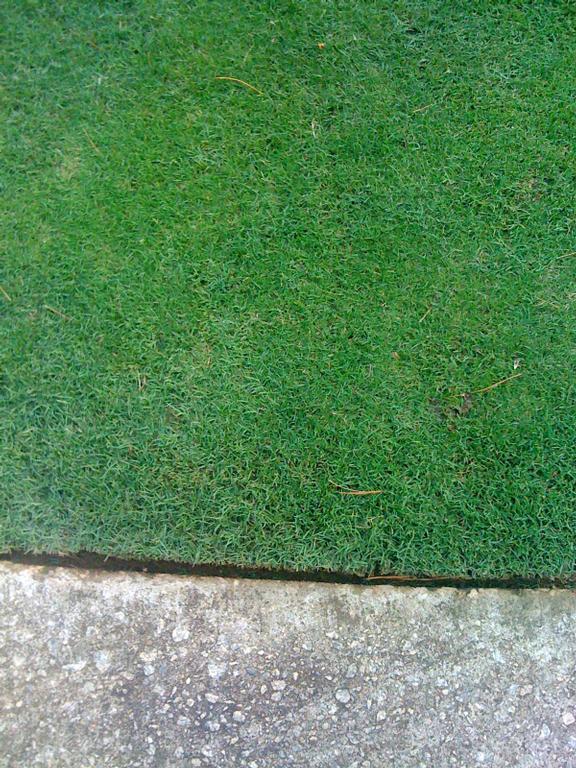  by Straight line Landscapes L.L.C