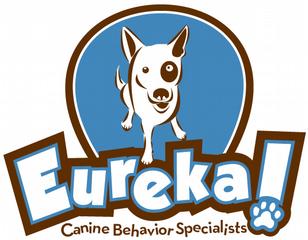 Dog Training Classes Mckinney Tx Dog Training Classes Mckinney Tx