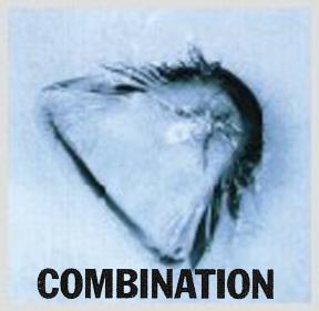 combination by Glass Star America Windshield Repair Kits