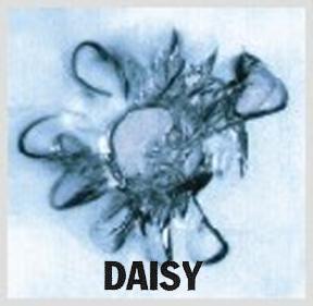 daisy by Glass Star America Windshield Repair Kits