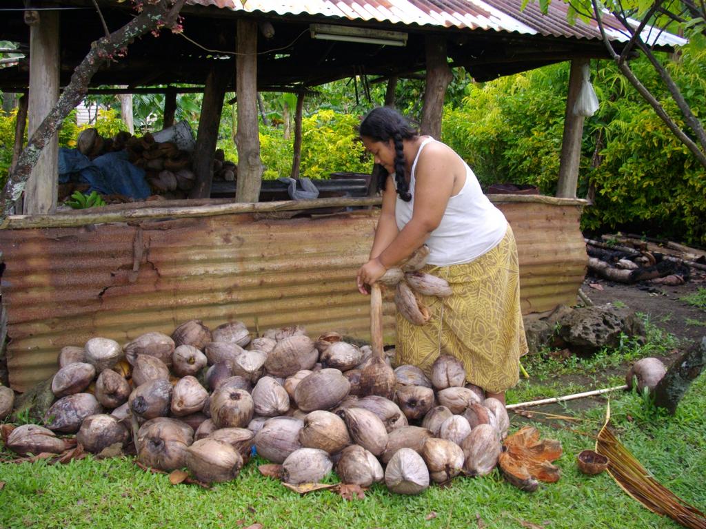 Coconut%20oil%20Samoa%20013_full.jpeg