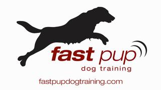 Fast Pup Dog Training