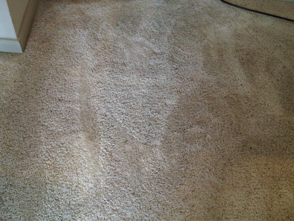 Katy Carpet Cleaners Katy TX 77450 2812140458 Carpet Cleaning