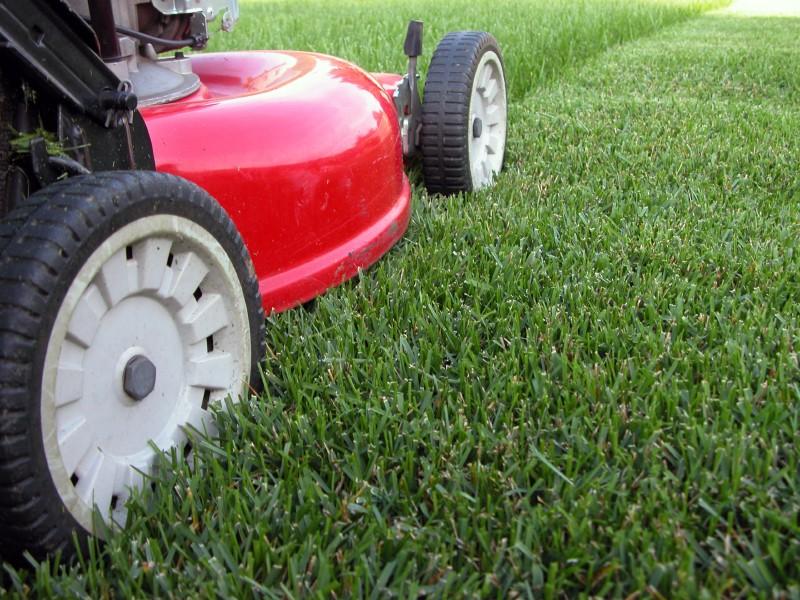 lawn service mckinney by Wade Services LLC