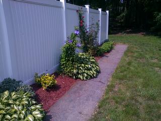 Lipomi's Property Services