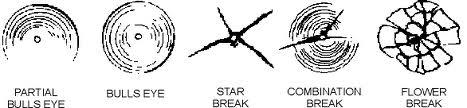 rock chip damage by Windshield Repair by Fix-A-Chip Auto Glass