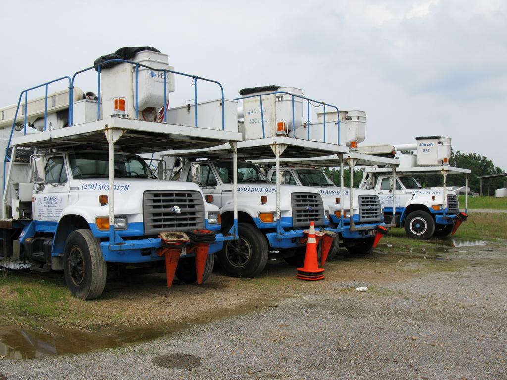 Evans Tree Work LLC Paducah KY 42001 2703039178 Tree Service