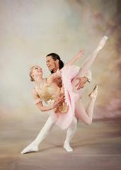 Utah Artists School of Ballet