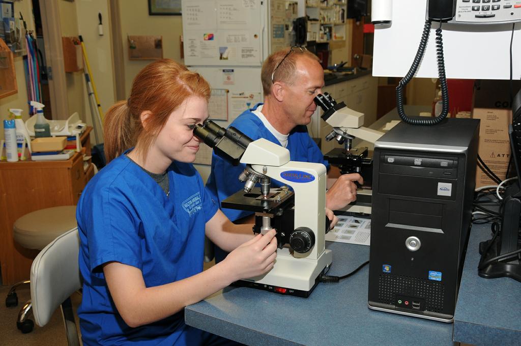 Belton Animal Clinic & Exotic Care Center Belton MO 64012 8163313120