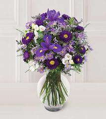 Send Flowers Memphis