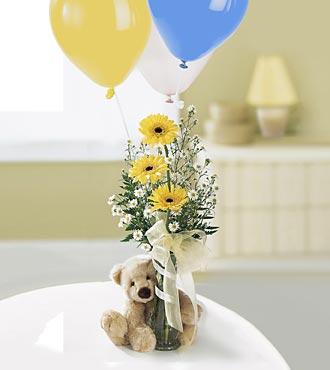 send flowers memphis_new baby by Send Flowers Memphis