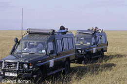 LandCruisers by New Adventuer Safaris