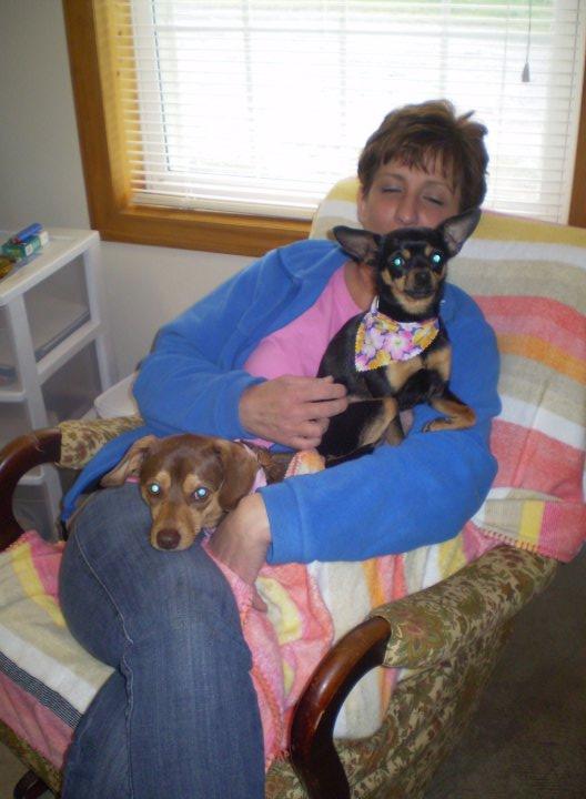 Pictures for Bandanas and Bows Pet Grooming in Bedford, PA 15522