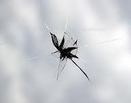 chip7 by Windshield Repair in Henderson, NV