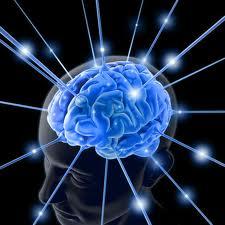 DR. DANOV NEUROPSYCHOLOGIST P.C. - 4 boroughs