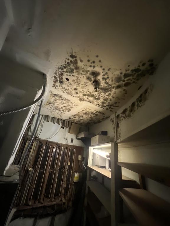  by QCI Mold and Water Damage