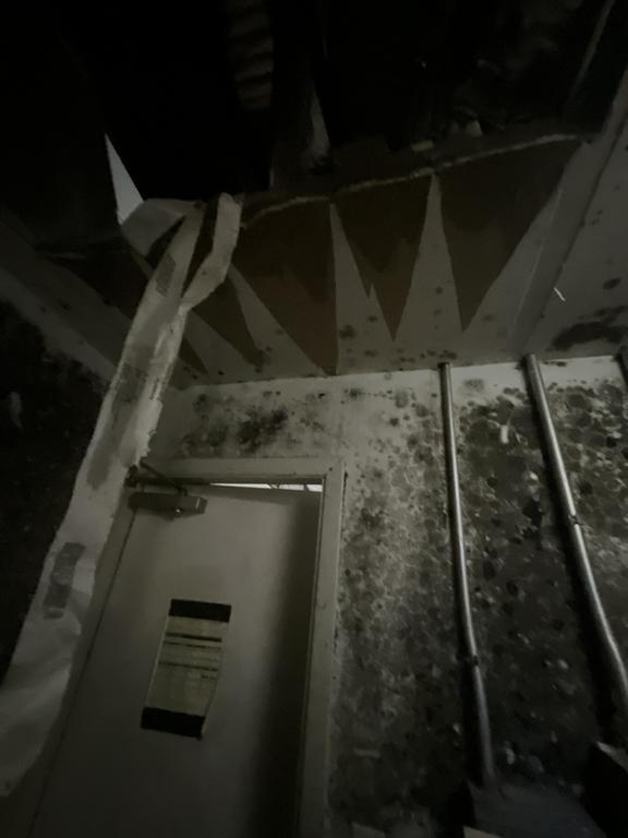  by QCI Mold and Water Damage