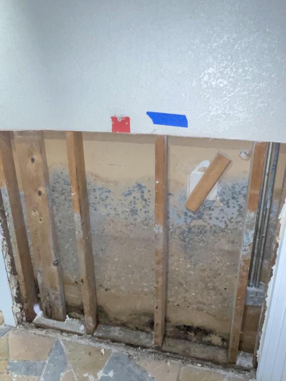  by QCI Mold and Water Damage