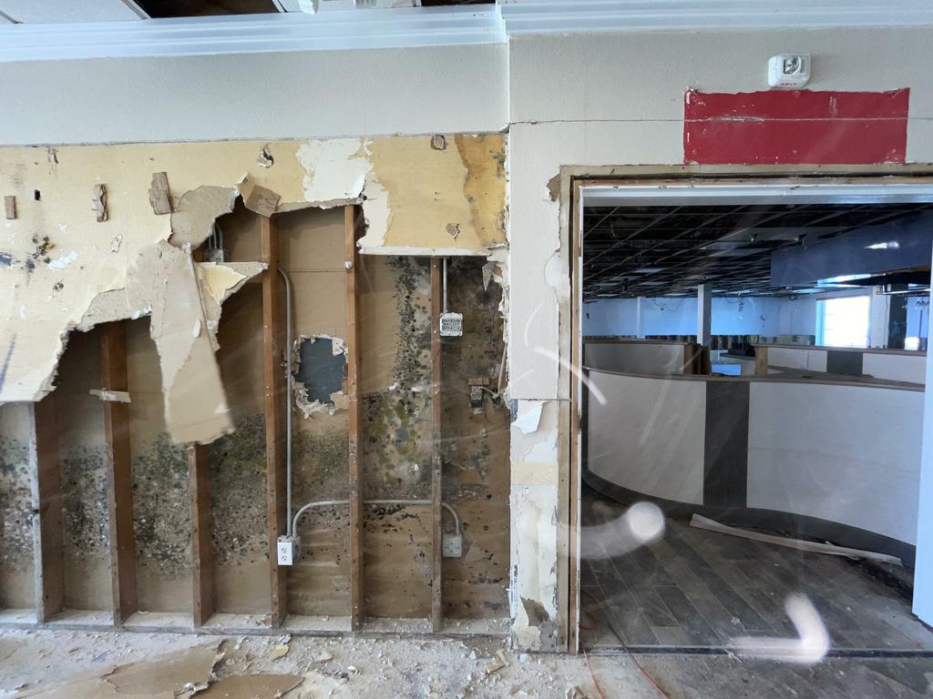  by QCI Mold and Water Damage