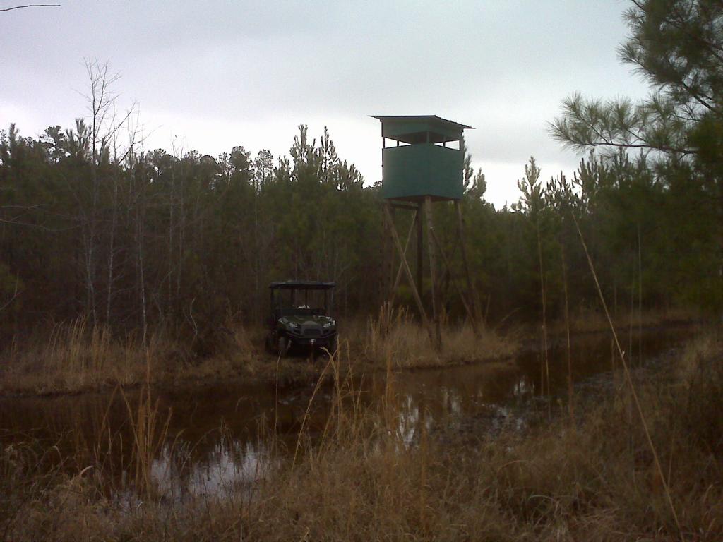 img00833 from Wild Hog Guided Hunts Four Oaks Wild Boar Outfitters