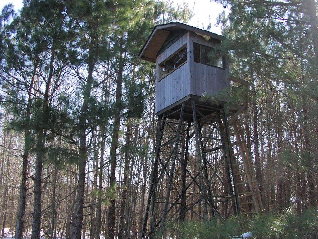 p1010749_qvru from Wild Hog Guided Hunts Four Oaks Wild Boar