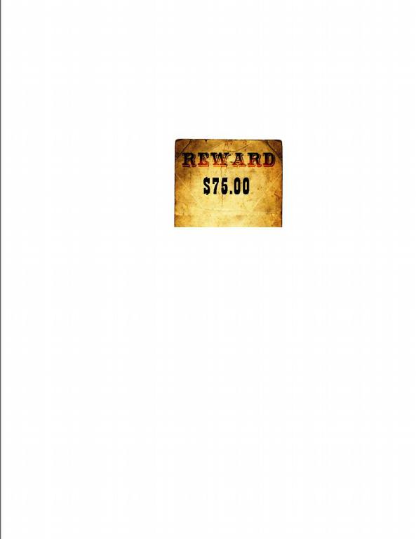 reward 1 by Bay Business Development