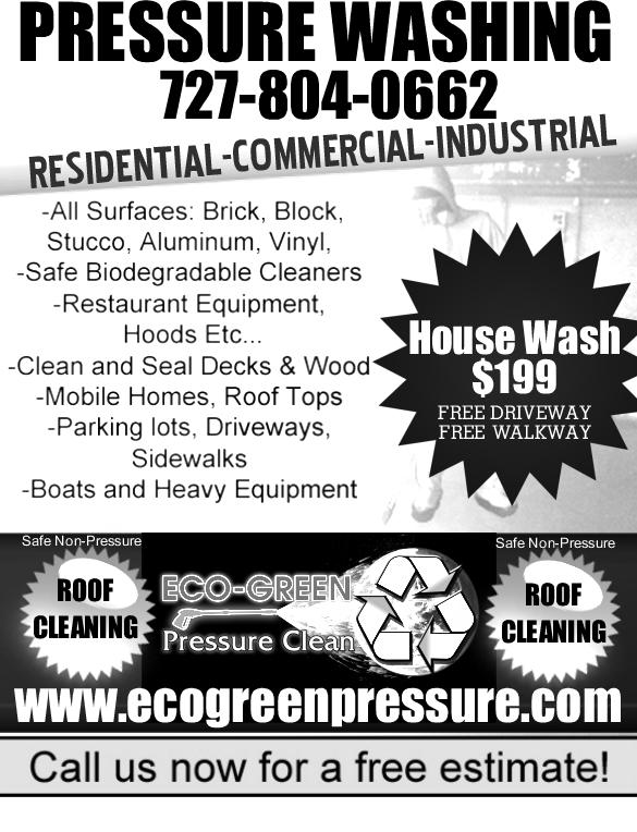 enchanting pressure washing flyer template crest examples powerwashing flyers