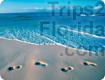 Trips2Florida
