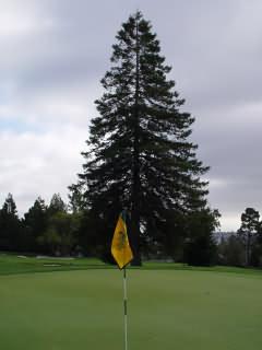 golf0031opt by Arborwell